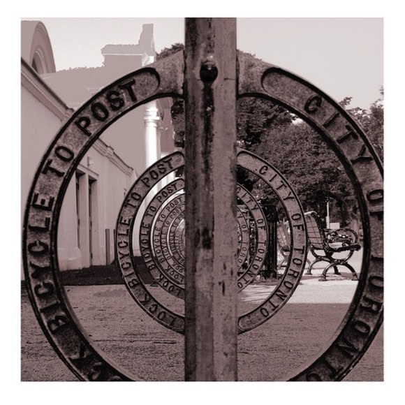 Meet your Posher, Seamus - Picture 4 of 7